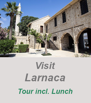 private guided tour visit larnaca