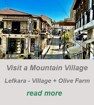 lefkara-troodos mountains-olive farm-private guide tour